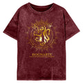 Maroon - Front - Harry Potter Womens-Ladies Gryffindor Constellation T-Shirt