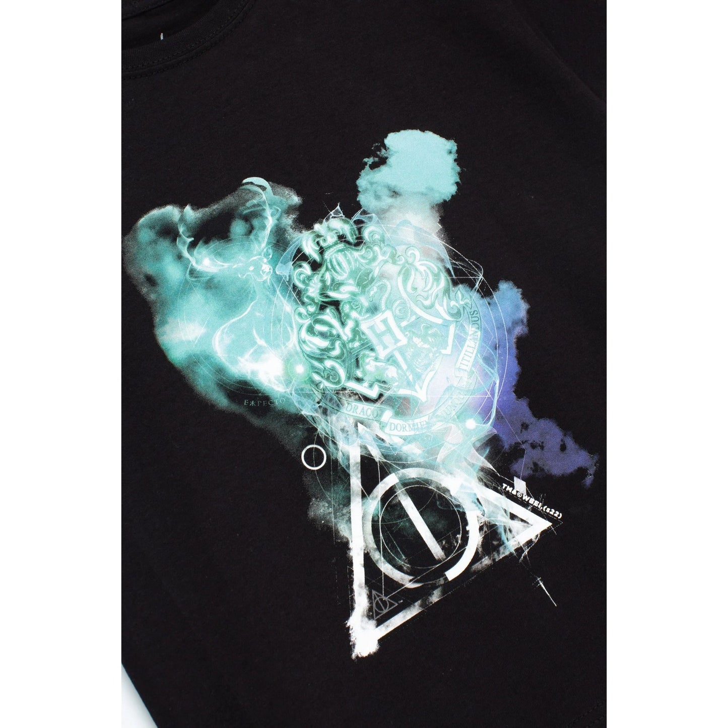 Black-Blue - Side - Hype Childrens-Kids Smoke Houses Harry Potter T-Shirt