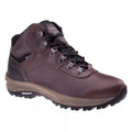 Dark Chocolate - Front - Hi-Tec Mens Altitude VI Leather Waterproof Hiking Boots