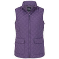 Loganberry - Front - Lazy Jacks Womens-Ladies Quilted Gilet