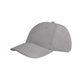 Pure Grey - Back - SOLS Apollo 6 Panel Baseball Cap