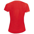 Red - Back - SOLS Womens-Ladies Sporty Raglan T-Shirt