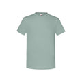 Sage - Front - Fruit of the Loom Unisex Adult Iconic T-Shirt