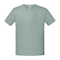 Sage - Front - Fruit of the Loom Childrens-Kids Iconic T-Shirt