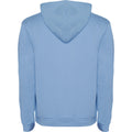 Sky Blue-White - Back - Roly Childrens-Kids Urban Drawstring Hoodie