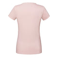 Powder Rose - Back - Fruit of the Loom Womens-Ladies Iconic 190 T-Shirt