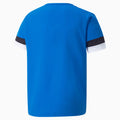 Blue - Back - Puma Mens TeamRISE Jersey