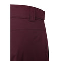 Burgundy - Pack Shot - Mountain Warehouse Mens Gravity Ski Trousers