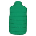 Green - Back - Mountain Warehouse Childrens-Kids Rocko Plain Padded Gilet