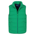 Green - Pack Shot - Mountain Warehouse Childrens-Kids Rocko Plain Padded Gilet