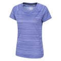 Blue - Side - Mountain Warehouse Womens-Ladies Endurance Striped T-Shirt