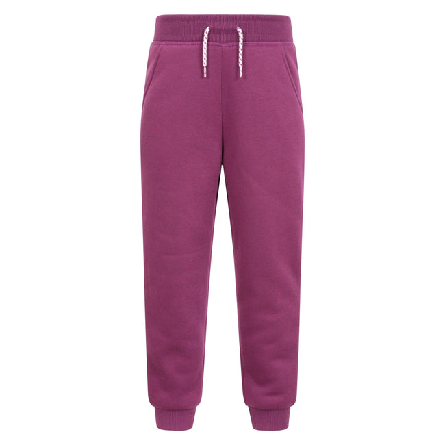 Berry - Front - Mountain Warehouse Childrens-Kids Alpine Faux Fur Lined Jogging Bottoms