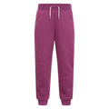Berry - Front - Mountain Warehouse Childrens-Kids Alpine Faux Fur Lined Jogging Bottoms