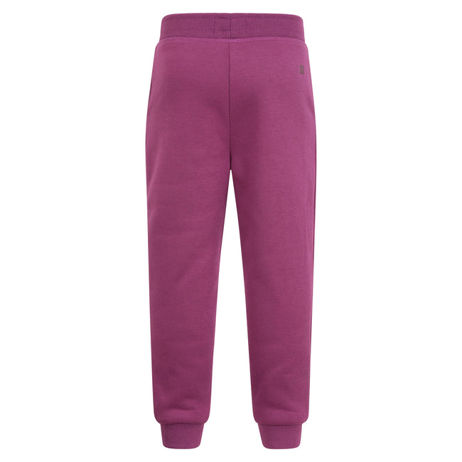 Berry - Back - Mountain Warehouse Childrens-Kids Alpine Faux Fur Lined Jogging Bottoms