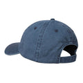 Navy - Back - Animal St Ives Established Baseball Cap