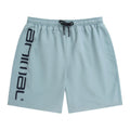 Pale Blue - Front - Animal Mens Deep Dive Recycled Boardshorts