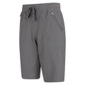 Dark Grey - Side - Mountain Warehouse Womens-Ladies Explorer Long Shorts