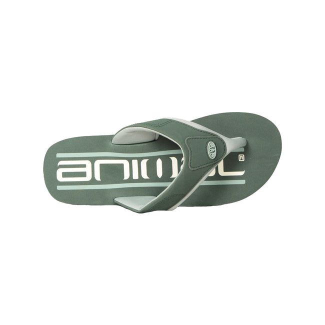 Green - Back - Animal Mens Jekyl Recycled Flip Flops