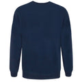 Blue - Back - Flash Unisex Adults TV STAR Laboratories Sweater