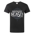 Black - Front - Fantastic Beasts And Where To Find Them Mens Logo T-Shirt