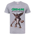 Grey - Front - Gremlins Official Mens After Midnight T-Shirt