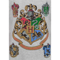 Grey - Back - Harry Potter Official Girls Hogwarts Raglan T-Shirt