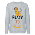 Grey - Front - The Lion King Boys Ready To Rule Simba Sweatshirt