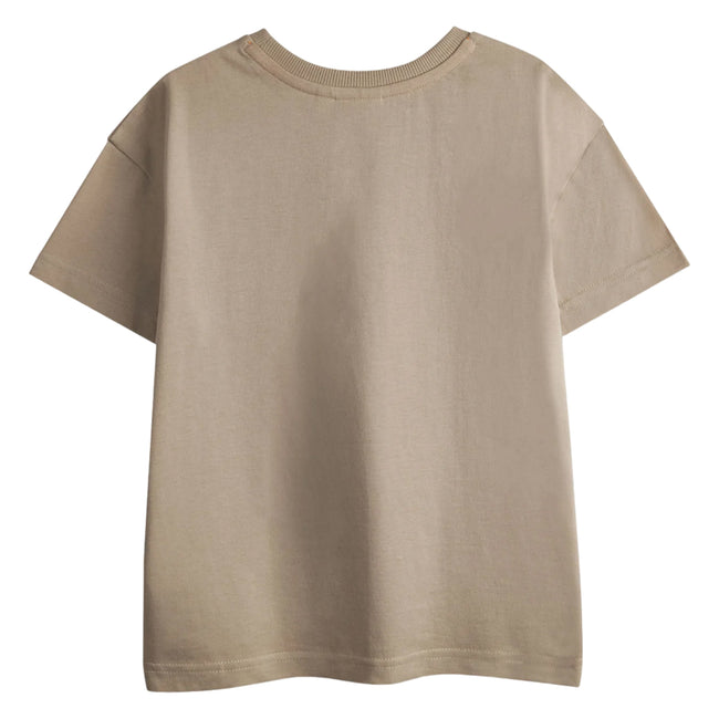 Brown - Pack Shot - The Gruffalo Boys Characters Short-Sleeved T-Shirt (Pack of 2)
