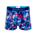 Blue-Pink-White - Front - OddBalls Mens Toucan Boxer Shorts