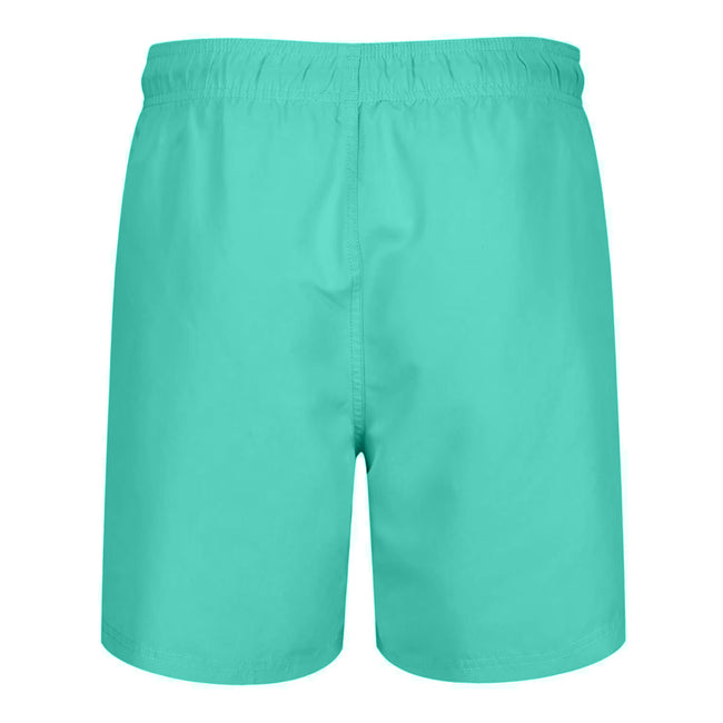 Turquoise - Back - RIPT Essentials Mens Swim Shorts