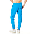Blue Aster - Back - RIPT Essentials Mens Jogging Bottoms