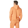 Orange - Back - RIPT Essentials Mens Pull Over Hoodie