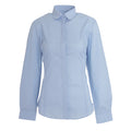 Sky Blue - Front - Brook Taverner Womens-Ladies Trevi Long Sleeve Poplin Shirt