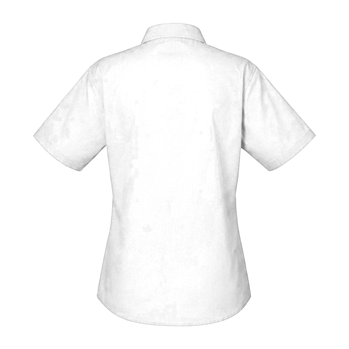 White - Back - Brook Taverner Womens-Ladies Soave Short Sleeve Poplin Shirt