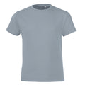 Pure Grey - Front - SOLS Childrens-Kids Regent Short Sleeve Fitted T-Shirt