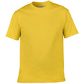 Daisy - Front - Gildan Mens Soft Style Ringspun T Shirt