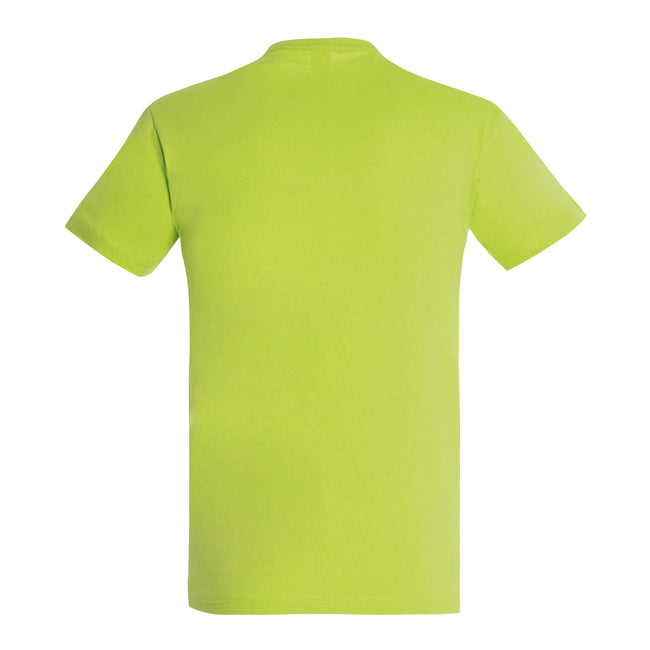 Apple Green - Back - SOLS Mens Imperial Heavyweight Short Sleeve T-Shirt