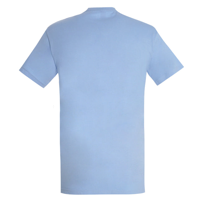 Sky Blue - Back - SOLS Mens Imperial Heavyweight Short Sleeve T-Shirt
