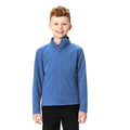 Royal - Back - Regatta Childrens-Kids Brigade II Micro Fleece Jacket