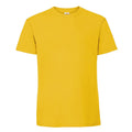 Sunflower - Back - Fruit Of The Loom Mens Ringspun Premium T-Shirt
