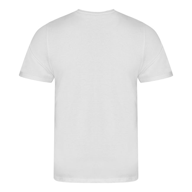 Arctic White - Back - Ecologie Mens Organic Cascades T-Shirt