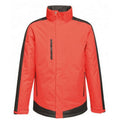 Classic Red-Black - Front - Regatta Mens Contrast Insulated Jacket