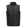 Seal Grey-Black - Front - Regatta Standout Mens Access Insulated Bodywarmer