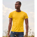 Sunflower Yellow - Back - Fruit Of The Loom Mens Iconic T-Shirt