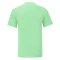 Neo Mint - Back - Fruit Of The Loom Mens Iconic T-Shirt