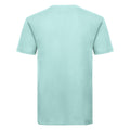 Aqua - Back - Russell Mens Authentic Pure Organic T-Shirt