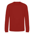 Fire Red - Front - AWDis Just Hoods Childrens-Kids Sweatshirt