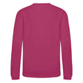 Hot Pink - Back - AWDis Just Hoods Childrens-Kids Sweatshirt