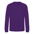 Purple - Front - AWDis Just Hoods Childrens-Kids Sweatshirt