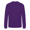 Purple - Back - AWDis Just Hoods Childrens-Kids Sweatshirt